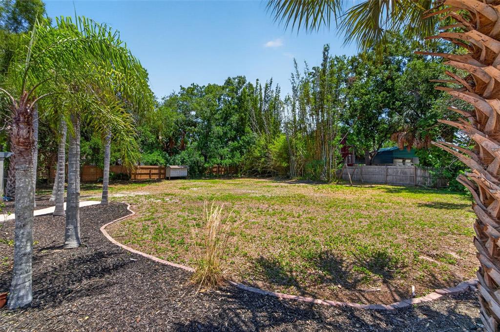 1007 State Street East Oldsmar, FL 34677 - Photo 50 of 65
