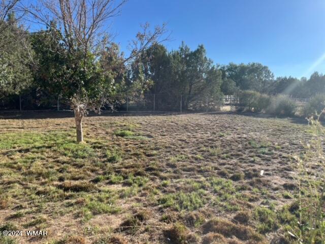 8850 Stageline Road Payson, AZ 85541 - Photo 21 of 32 IMG_3954
