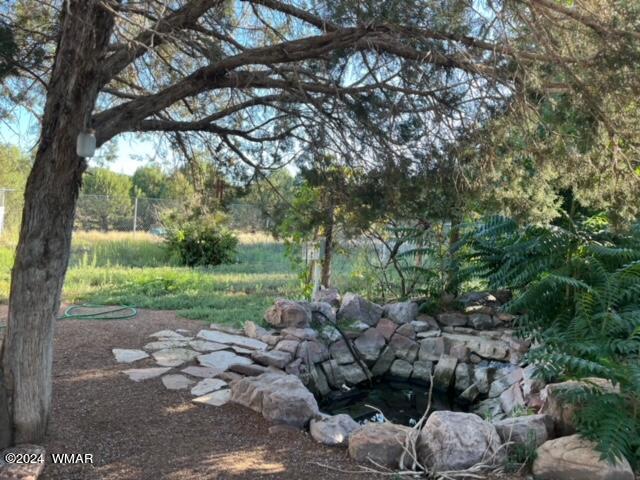 8850 Stageline Road Payson, AZ 85541 - Photo 23 of 32 IMG_3974
