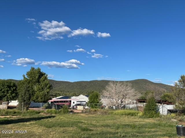 8850 Stageline Road Payson, AZ 85541 - Photo 27 of 32 IMG_3981