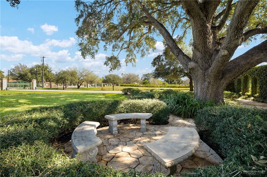 4725 Mile 6 Road McAllen, TX 78504 - Photo 6 of 45 Sitting area under large oak tree