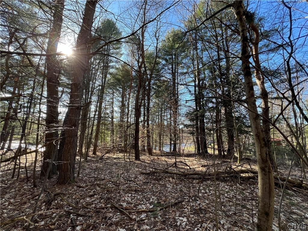 3153 Pines Road Boonville, NY 13309 - Photo 13 of 15