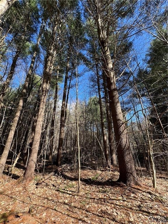 3153 Pines Road Boonville, NY 13309 - Photo 6 of 15