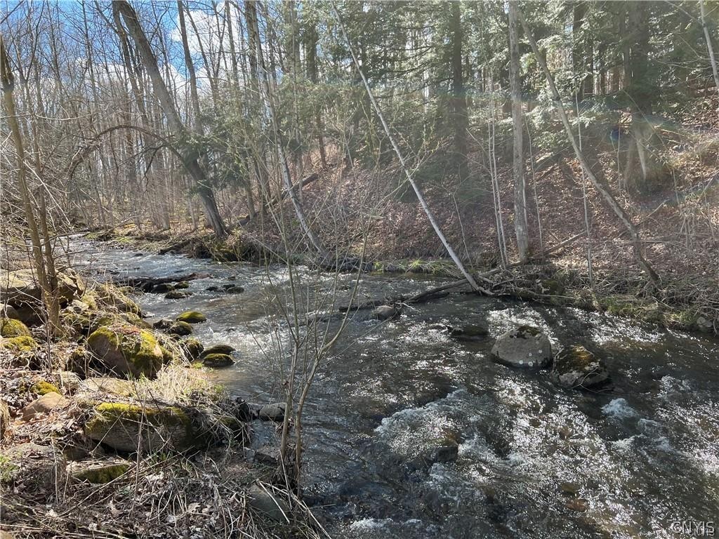 3153 Pines Road Boonville, NY 13309 - Photo 7 of 15