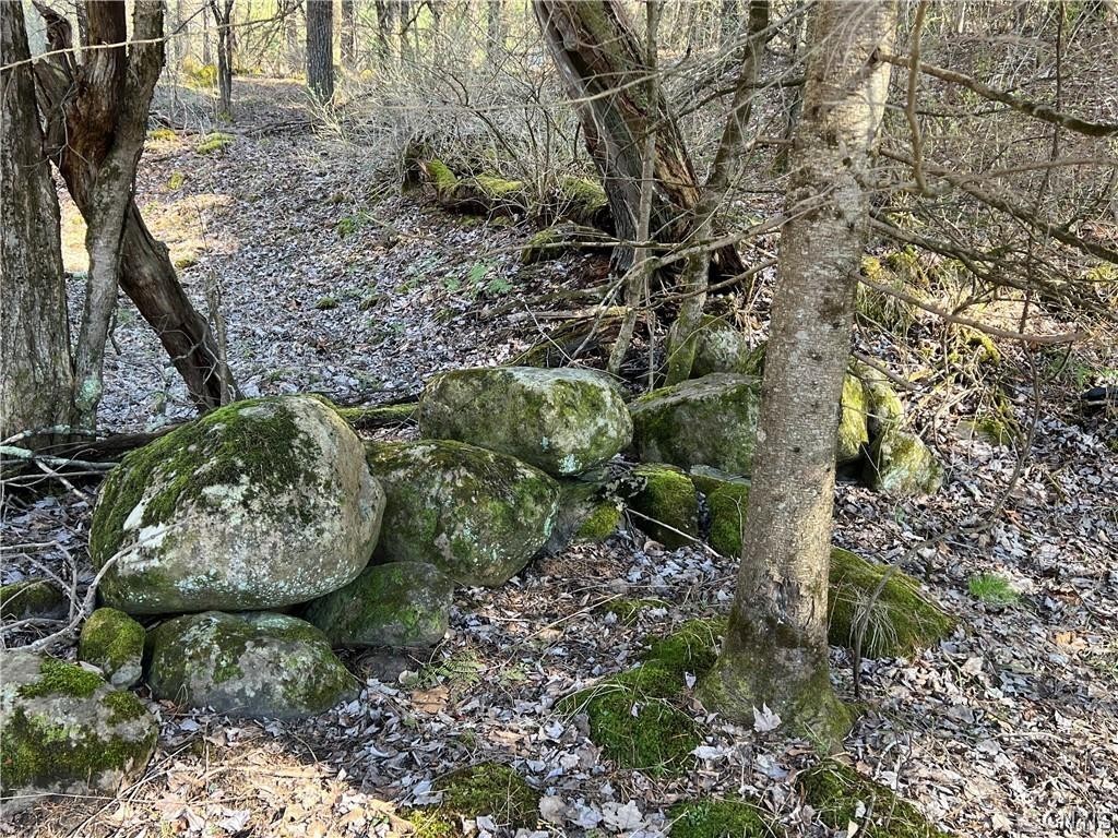 3153 Pines Road Boonville, NY 13309 - Photo 10 of 15