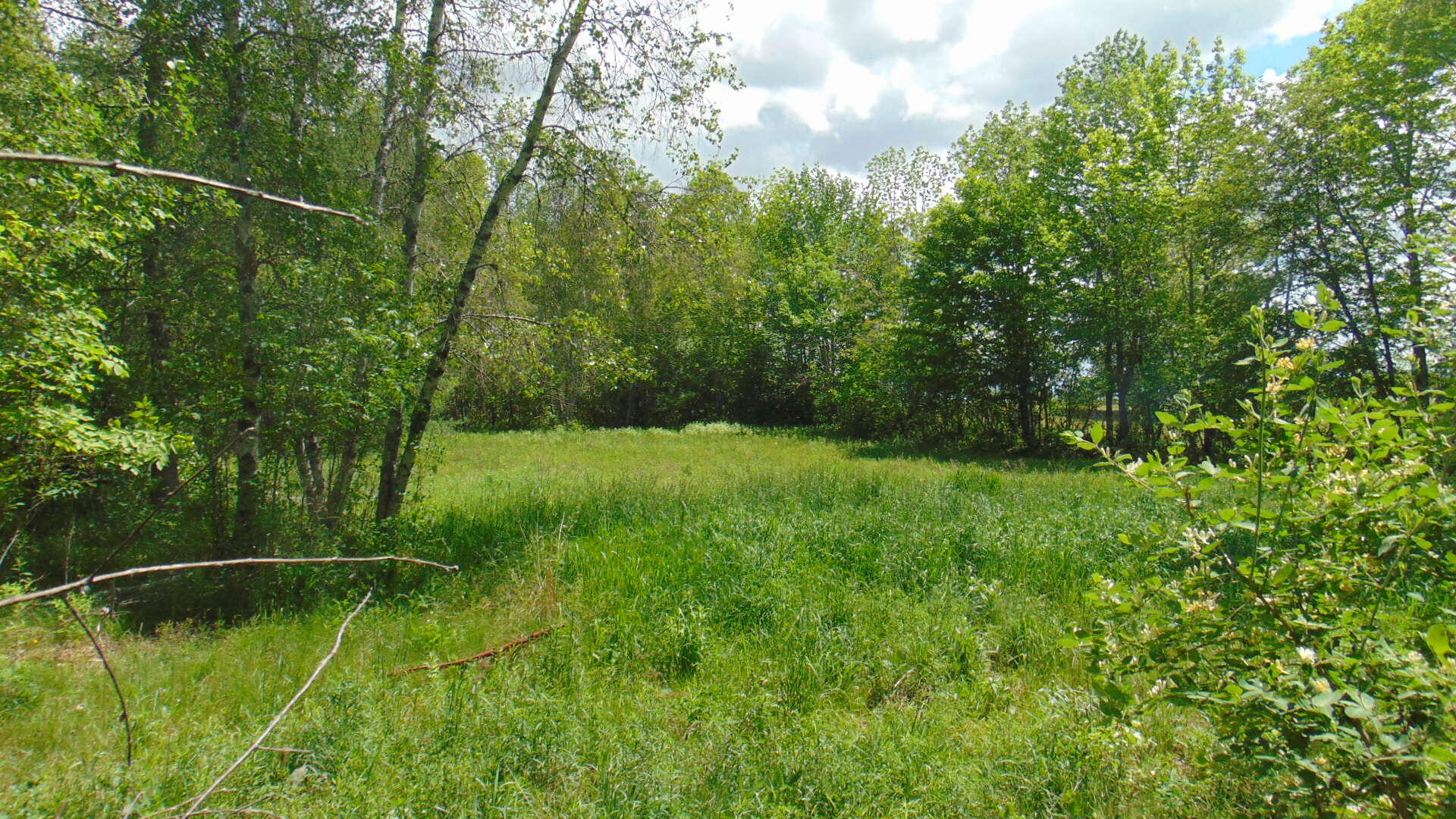 234 Back Road Burlington, ME 04417 - Photo 4 of 13 DSC02354