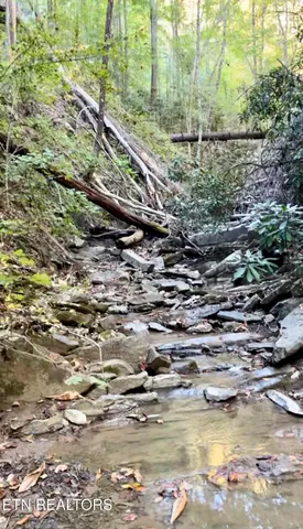 $225,000 | 793 Jones Road, Sneedville, TN 37869