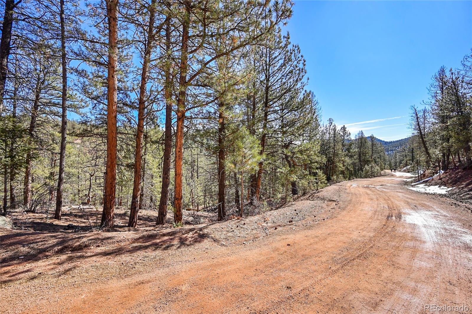 16588 Ouray Road Pine, CO 80470 - Photo 1 of 42 Gallery Image 1