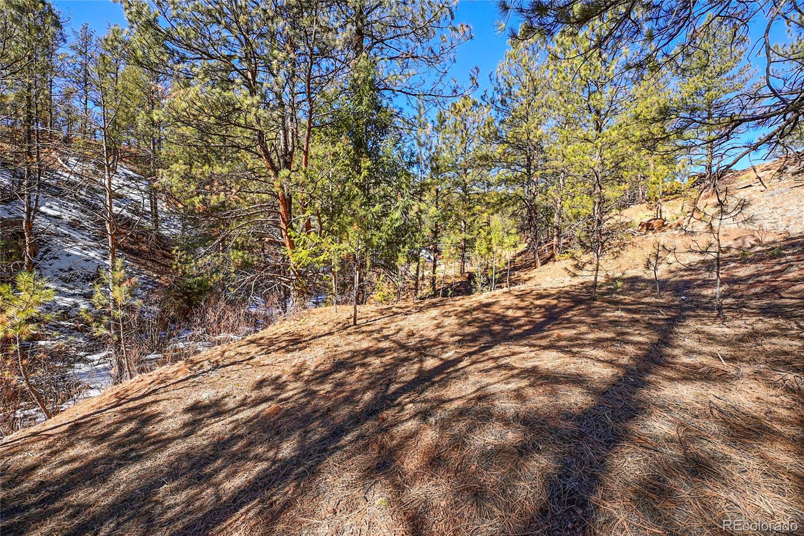 16588 Ouray Road Pine, CO 80470 - Photo 11 of 42 Gallery Image 11