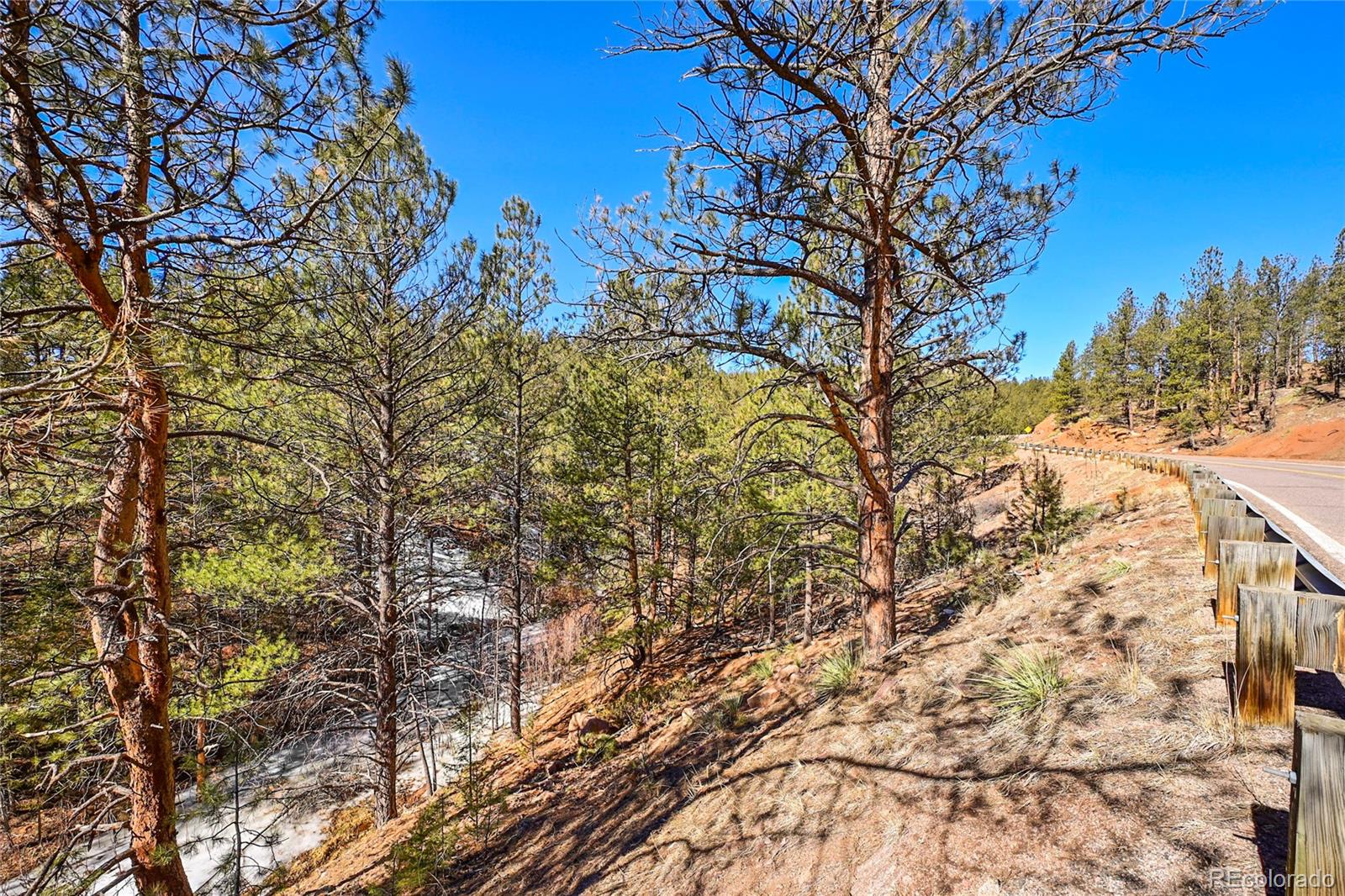 16588 Ouray Road Pine, CO 80470 - Photo 12 of 42 Gallery Image 12