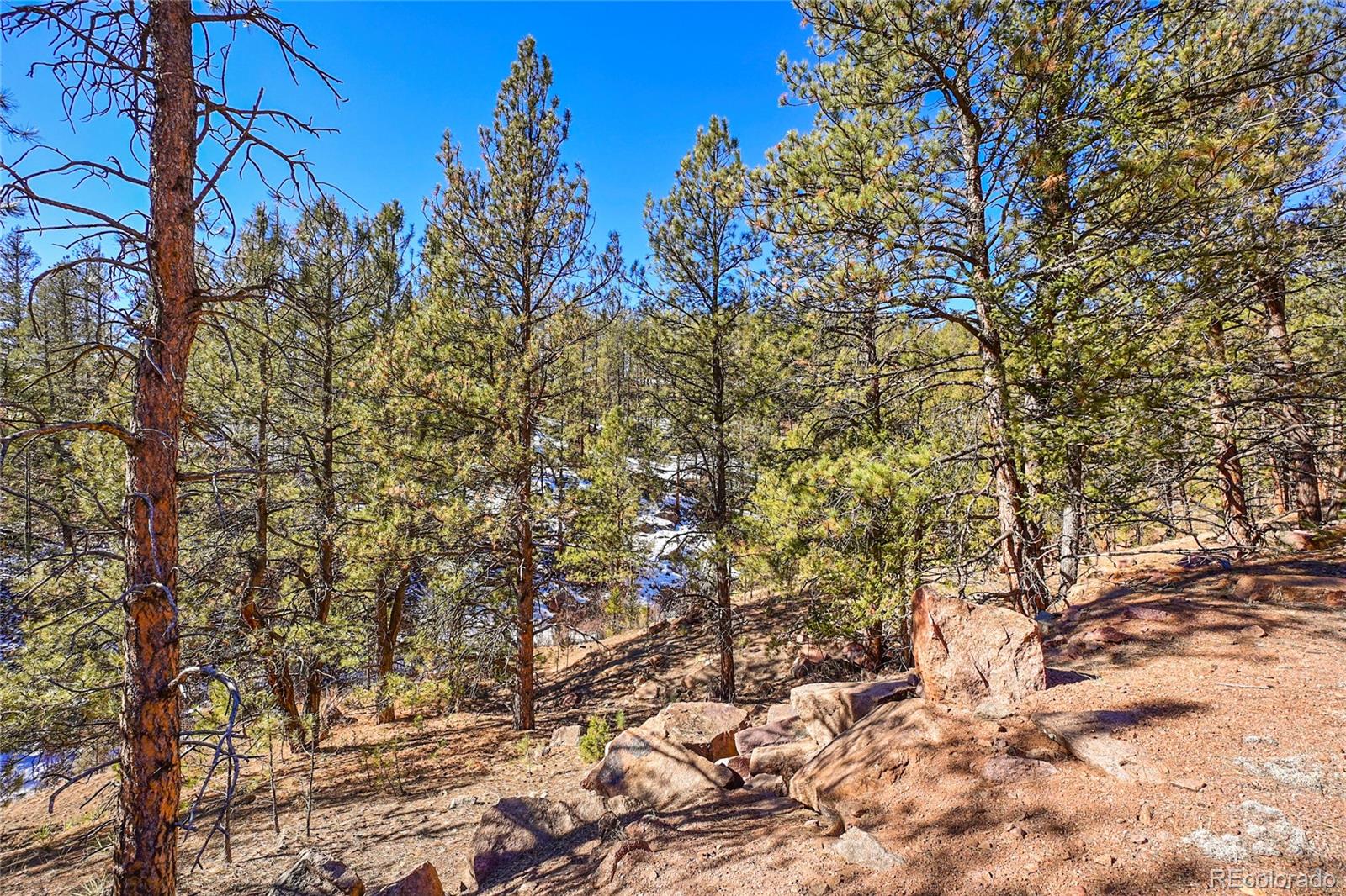 16588 Ouray Road Pine, CO 80470 - Photo 13 of 42 Gallery Image 13