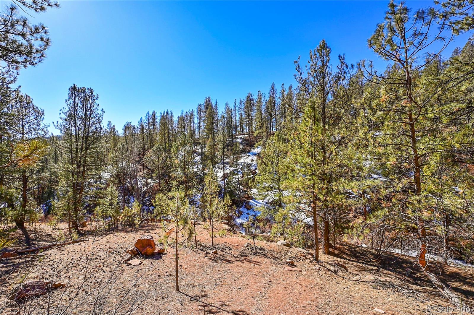 16588 Ouray Road Pine, CO 80470 - Photo 14 of 42 Gallery Image 14