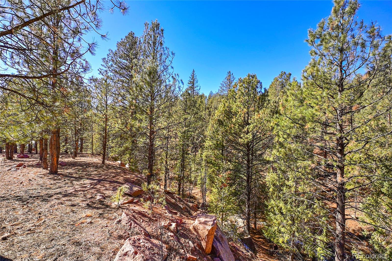 16588 Ouray Road Pine, CO 80470 - Photo 15 of 42 Gallery Image 15