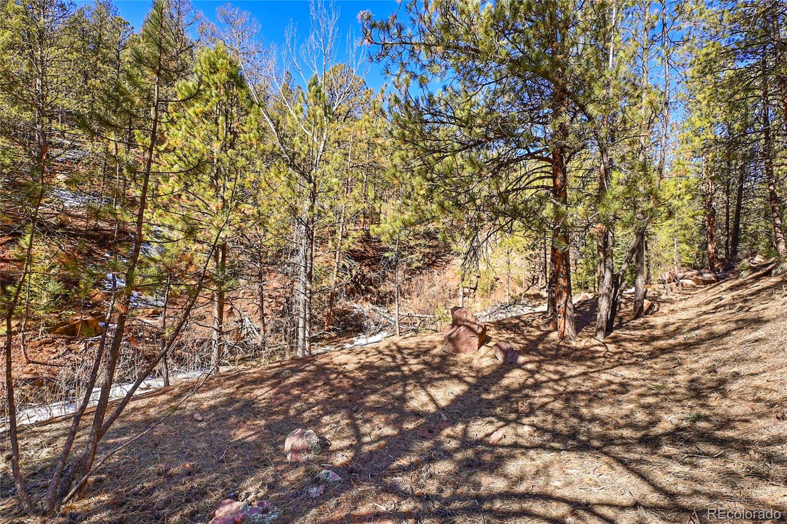 16588 Ouray Road Pine, CO 80470 - Photo 16 of 42 Gallery Image 16