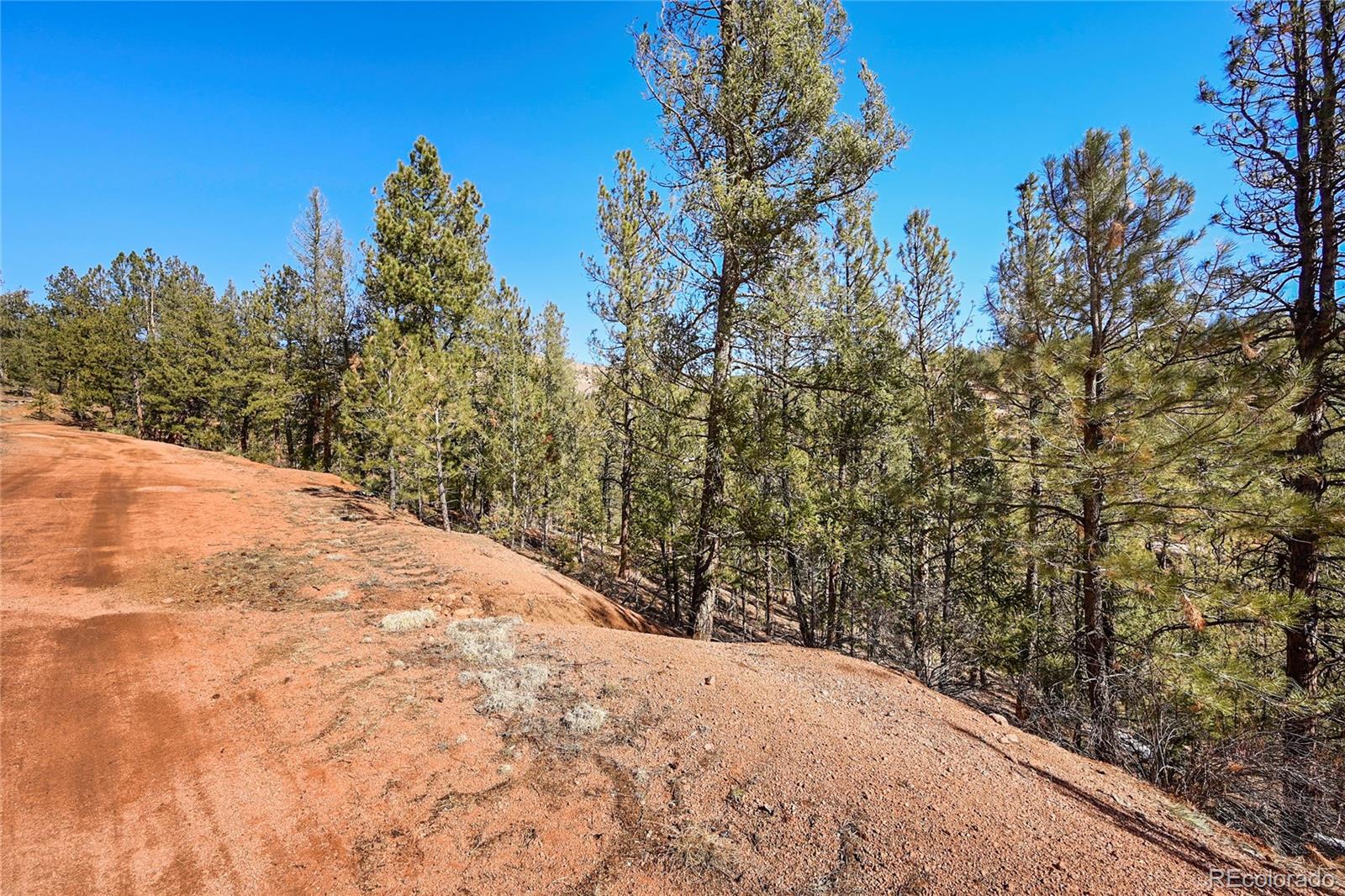 16588 Ouray Road Pine, CO 80470 - Photo 2 of 42 Gallery Image 2