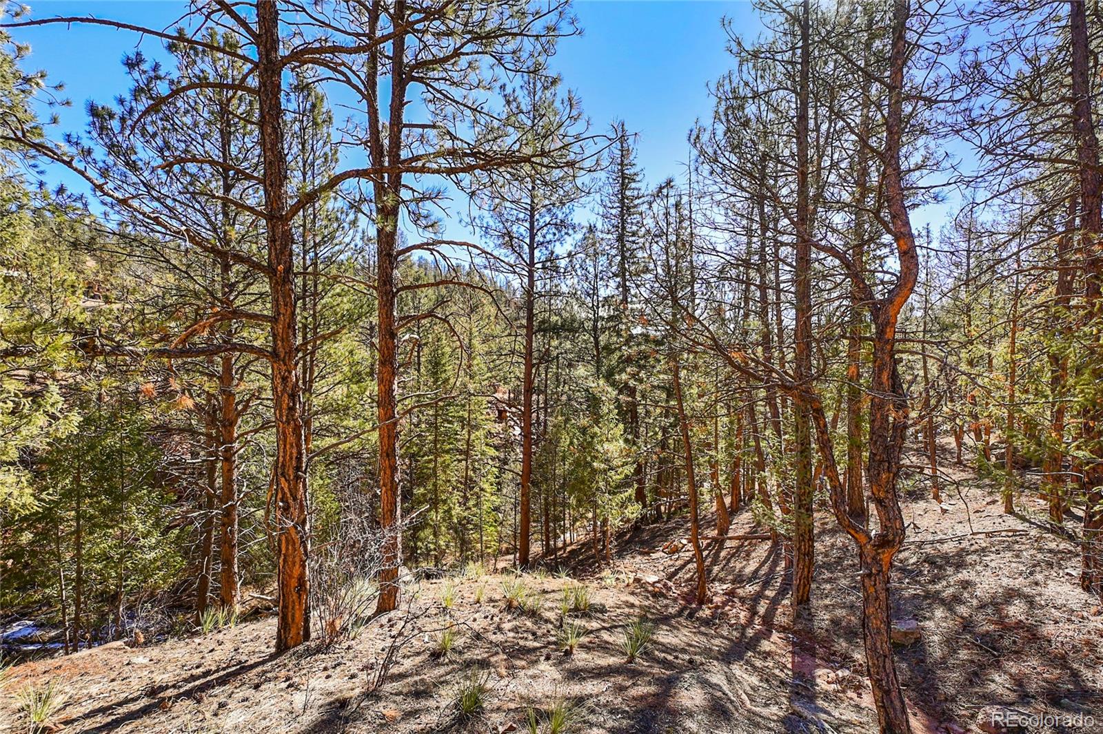 16588 Ouray Road Pine, CO 80470 - Photo 22 of 42 Gallery Image 22