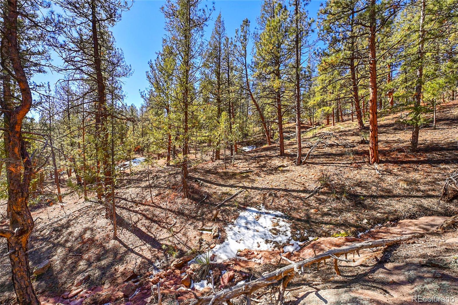 16588 Ouray Road Pine, CO 80470 - Photo 23 of 42 Gallery Image 23