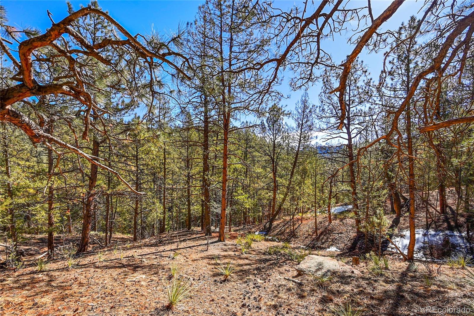 16588 Ouray Road Pine, CO 80470 - Photo 24 of 42 Gallery Image 24