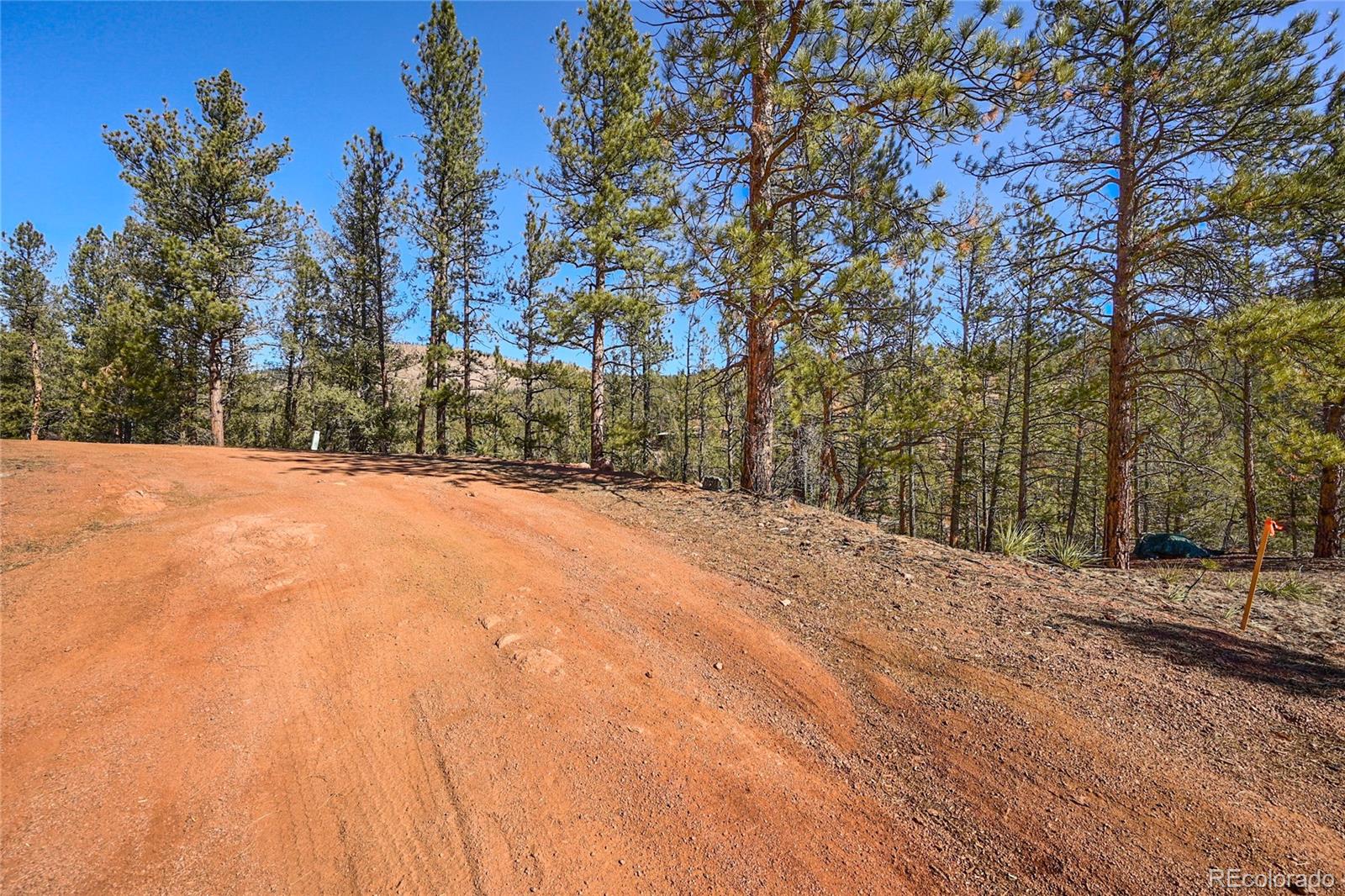 16588 Ouray Road Pine, CO 80470 - Photo 3 of 42 Gallery Image 3