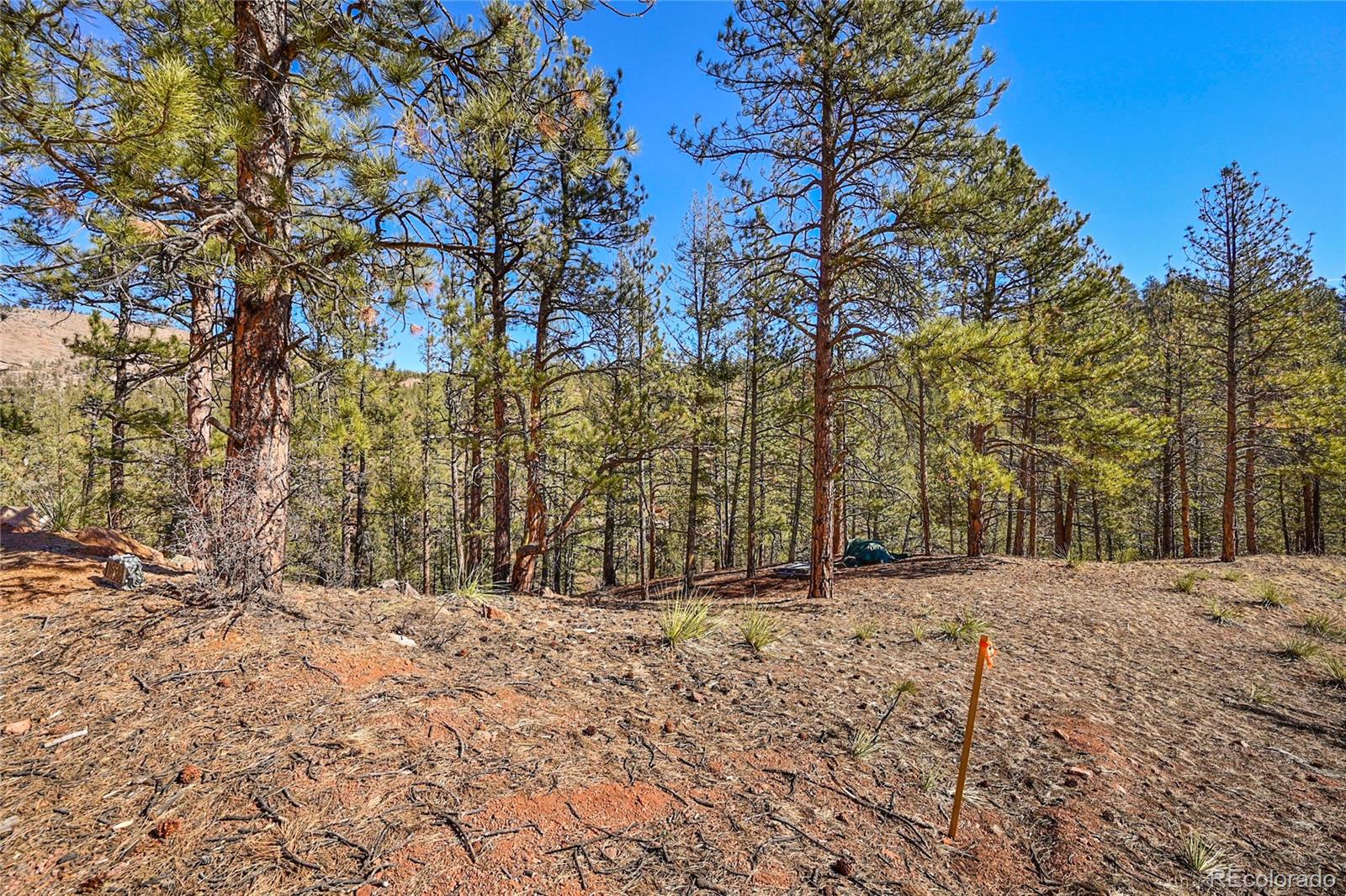 16588 Ouray Road Pine, CO 80470 - Photo 4 of 42 Gallery Image 4