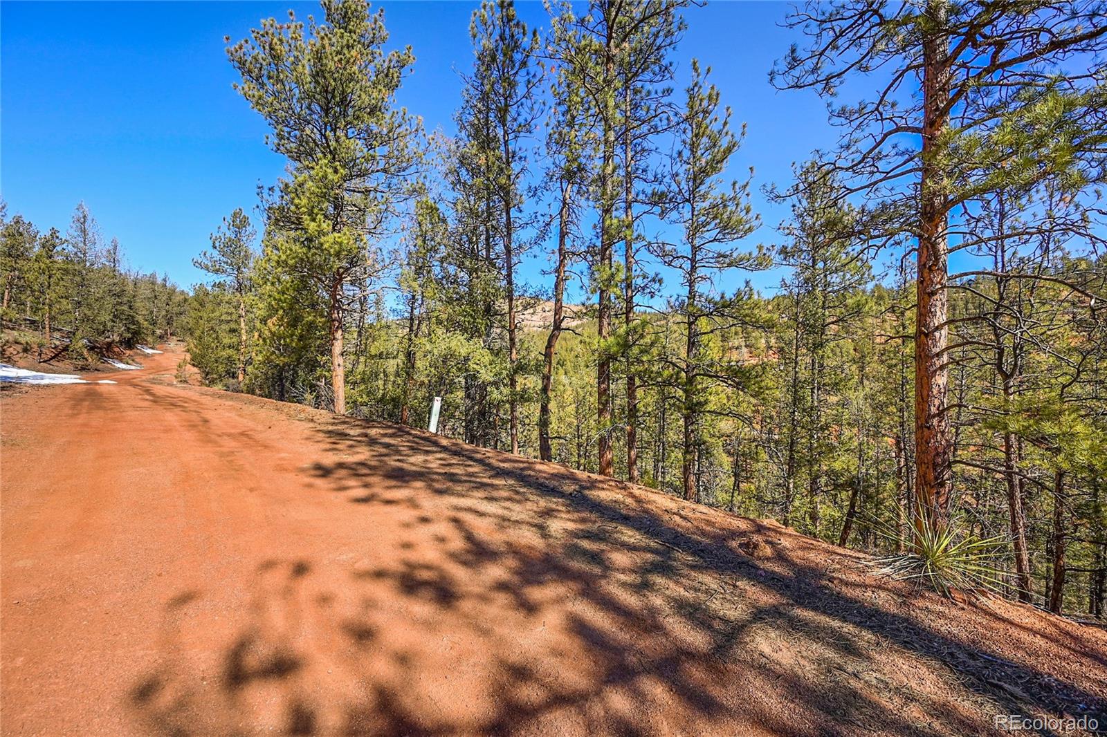 16588 Ouray Road Pine, CO 80470 - Photo 5 of 42 Gallery Image 5