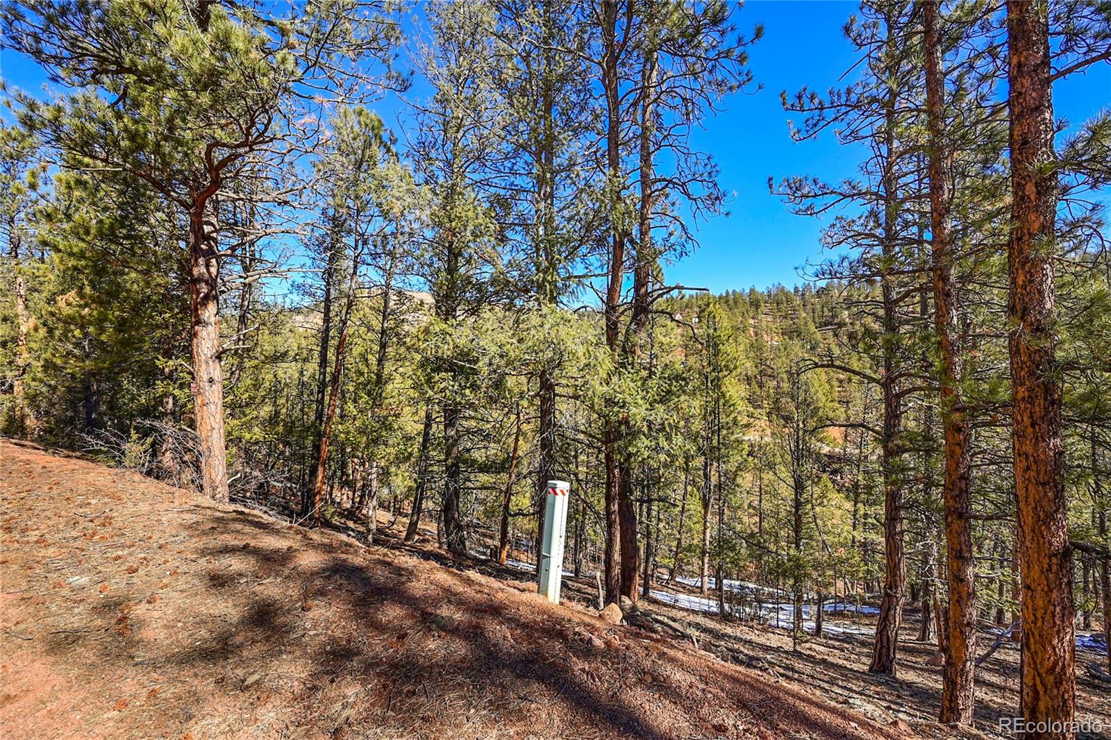 16588 Ouray Road Pine, CO 80470 - Photo 6 of 42 Gallery Image 6
