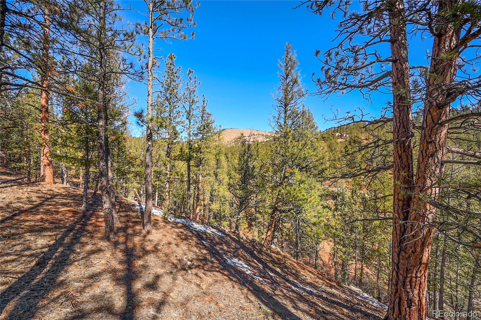 16588 Ouray Road Pine, CO 80470 - Photo 7 of 42 Gallery Image 7