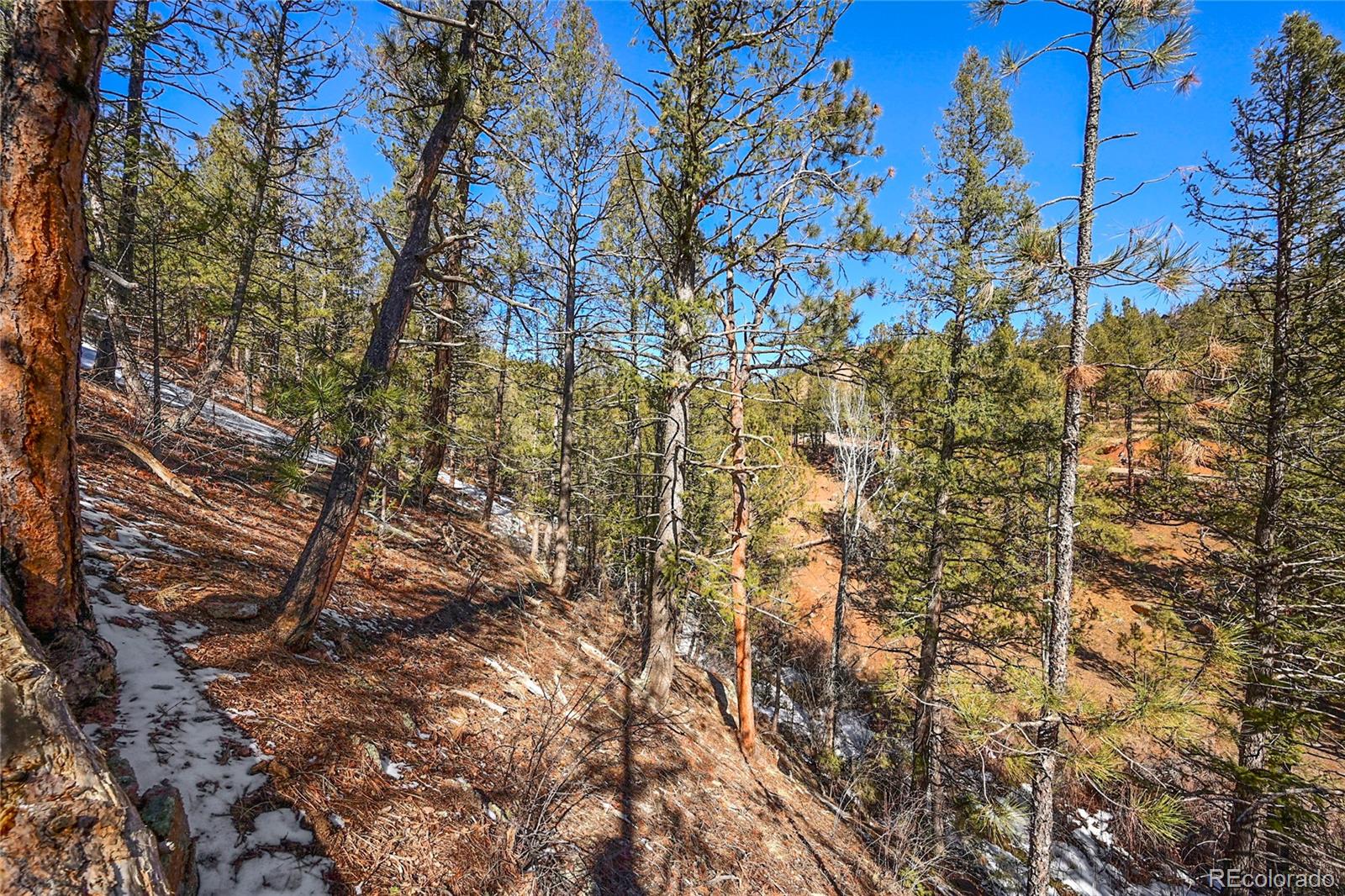 16588 Ouray Road Pine, CO 80470 - Photo 8 of 42 Gallery Image 8