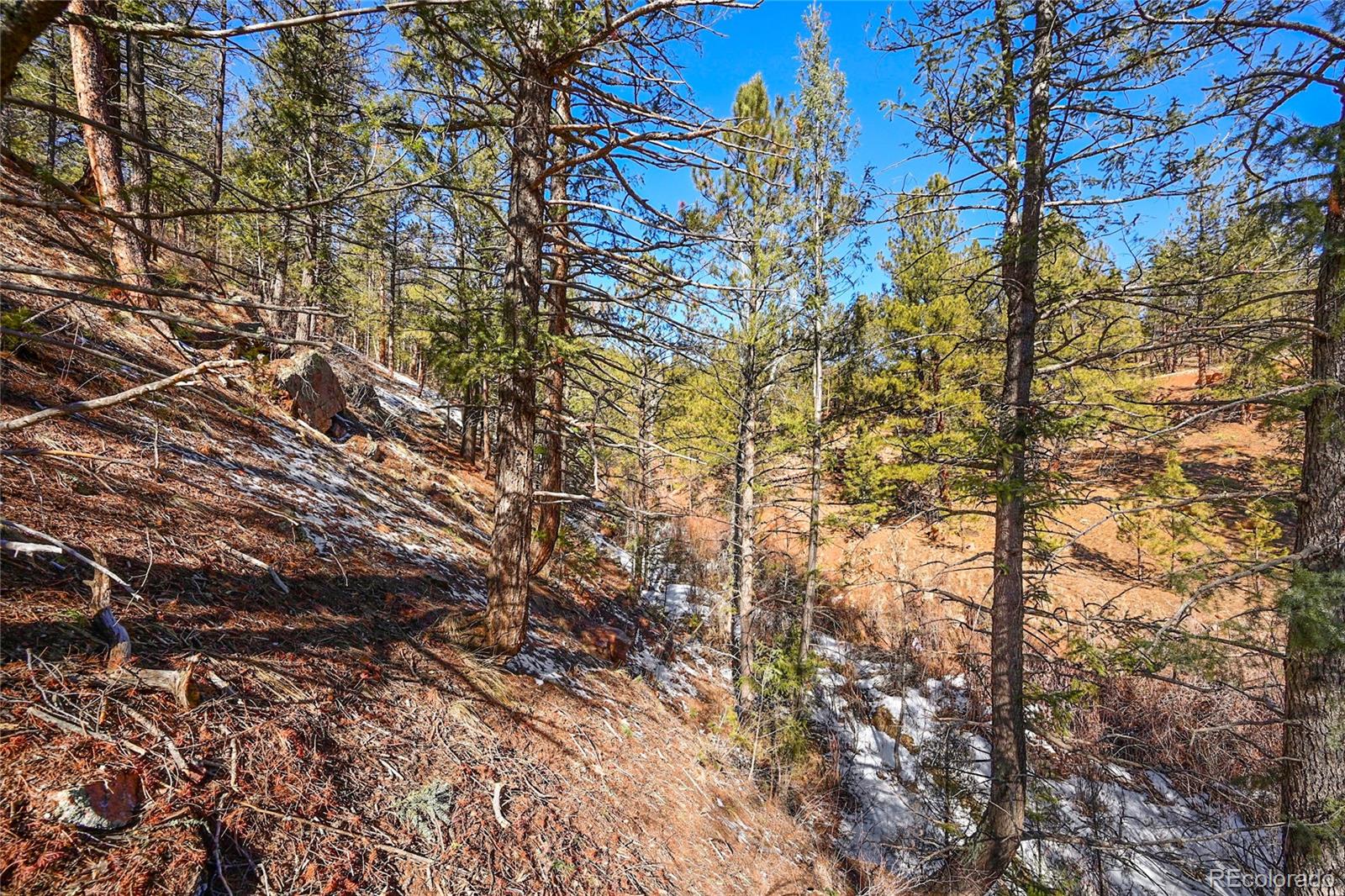 16588 Ouray Road Pine, CO 80470 - Photo 9 of 42 Gallery Image 9