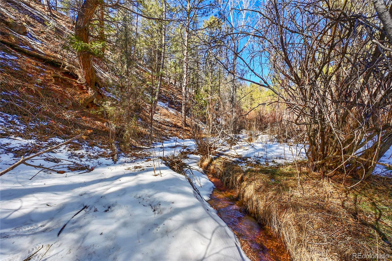 16588 Ouray Road Pine, CO 80470 - Photo 10 of 42 Gallery Image 10