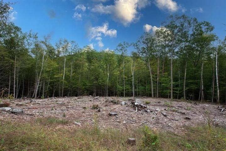 57 Pinnacle Road Campton, NH 03223 - Photo 6 of 9 Gallery Image 6