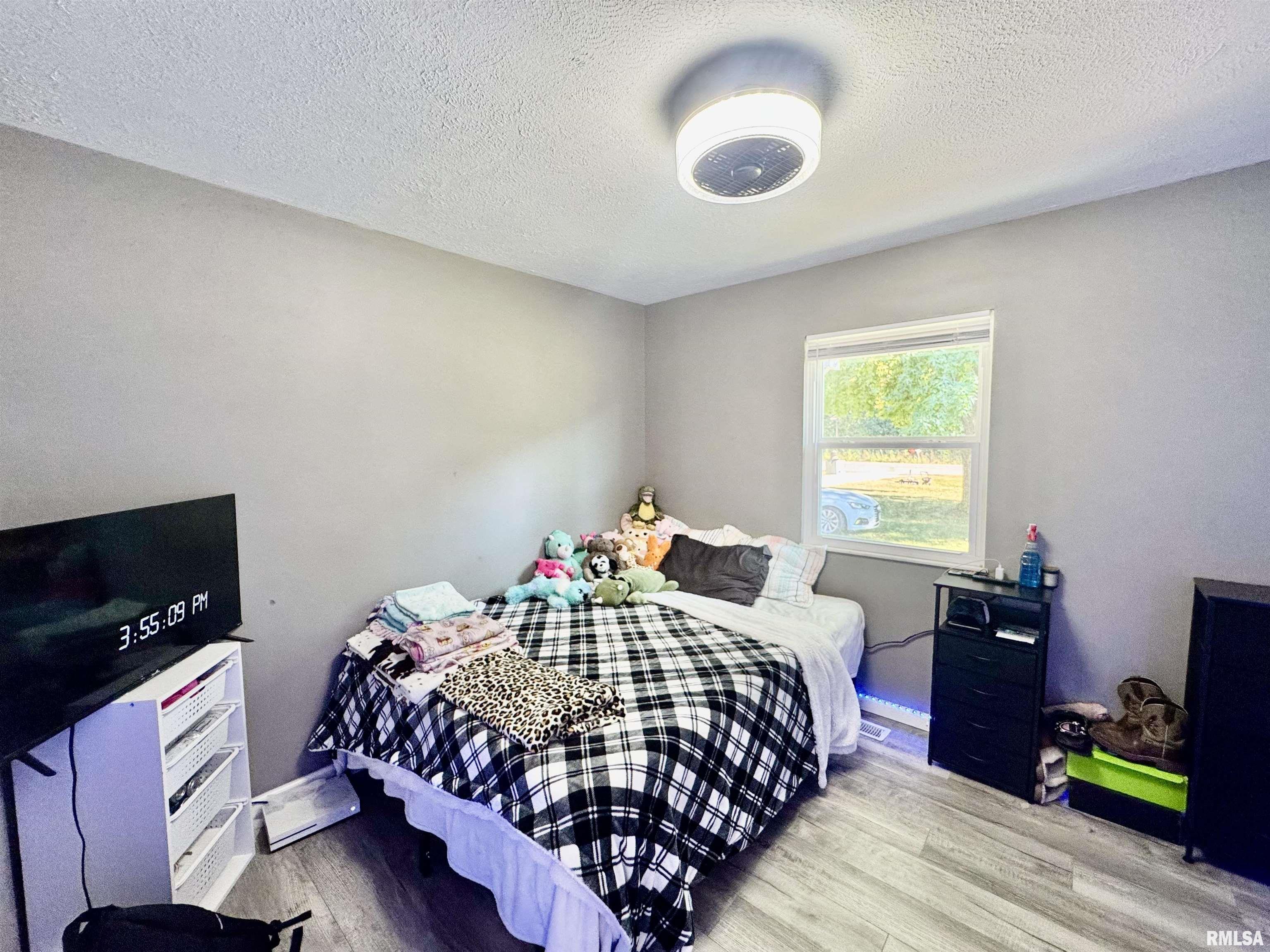 1617 Green Street Road Centralia, IL 62801 - Photo 13 of 18