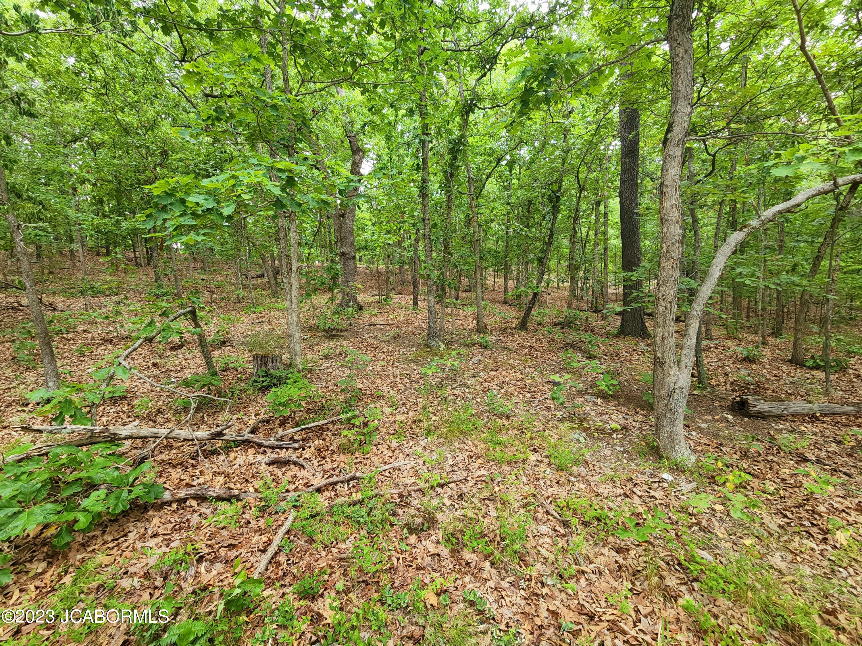 Lot 8 Copperstone Road Camdenton, MO 65020 - Photo 3 of 5