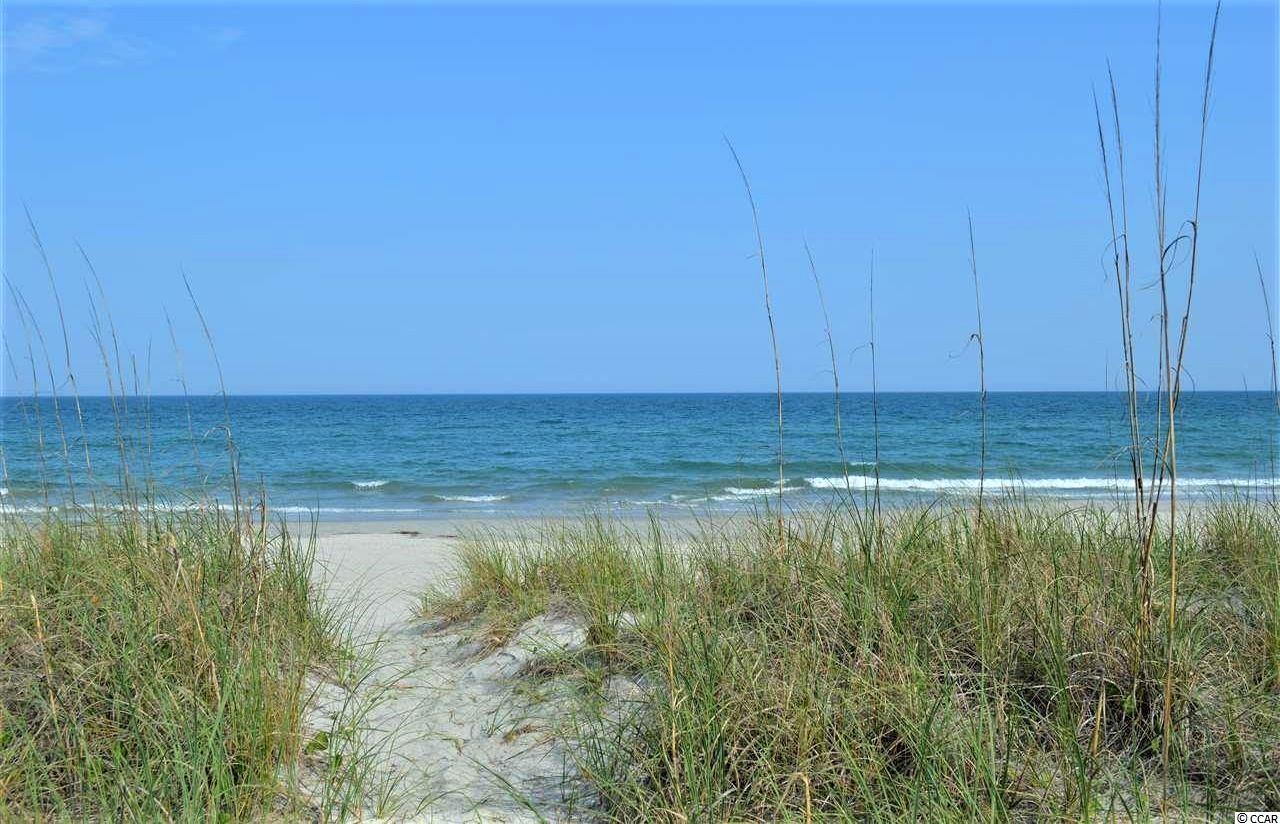 53 Cascade Drive Murrells Inlet, SC 29576 - Photo 29 of 32 Gallery Image 29