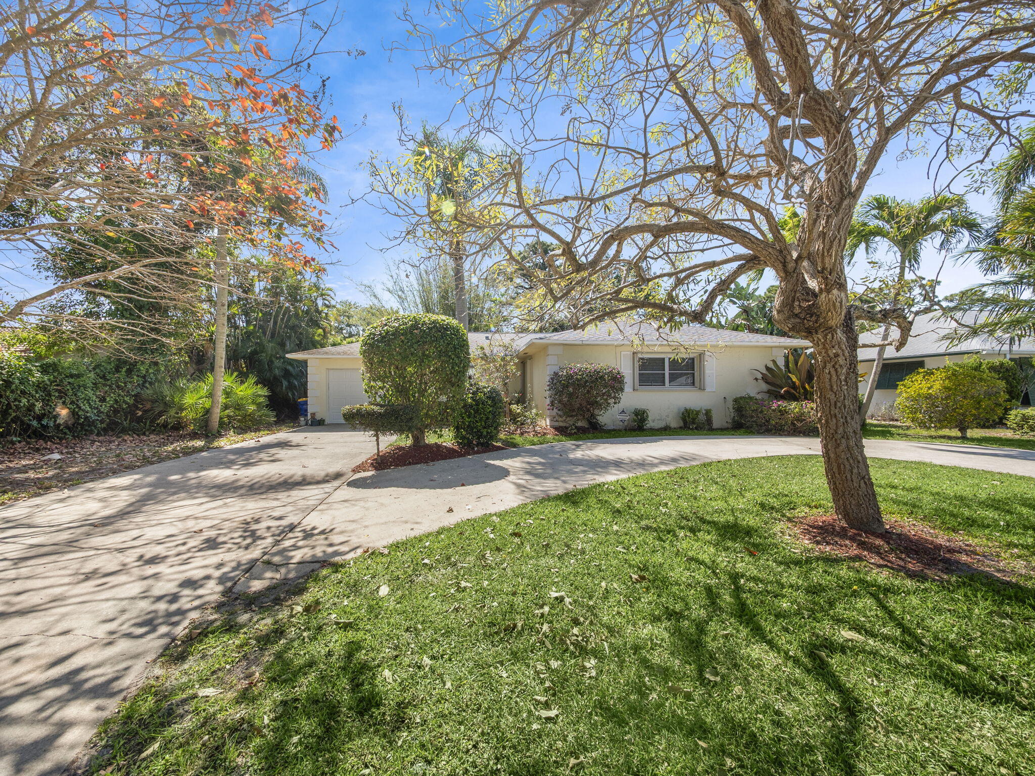 a view of a house with backyard and a tree
