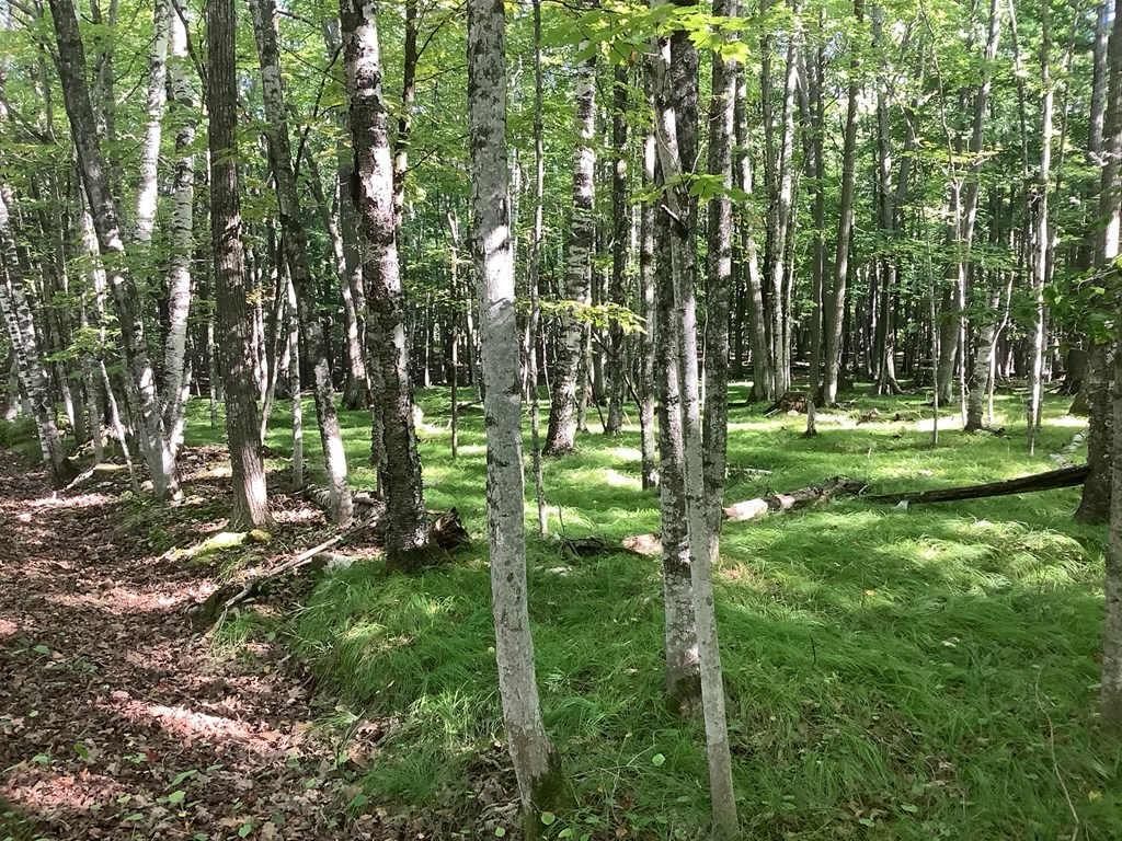 Little Lake Road Washington Island, WI 54246 - Photo 2 of 7