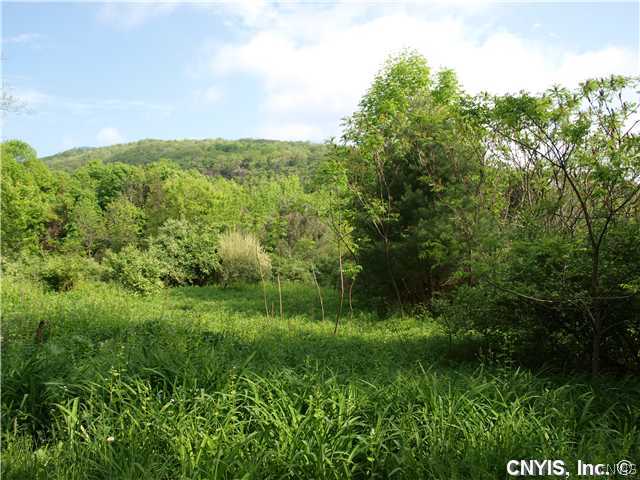 0 Otisco Road La Fayette, NY 13084 - Photo 1 of 1 Land