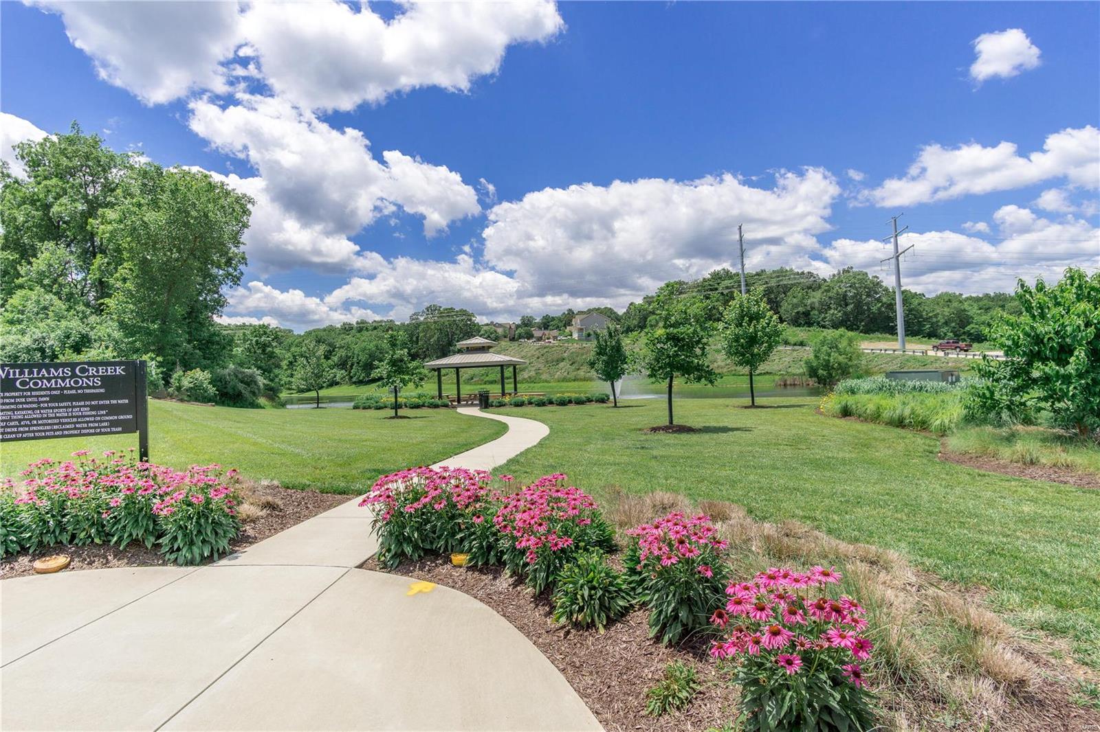 1274 Spring Lilly Drive High Ridge, MO 63049 - Photo 34 of 36