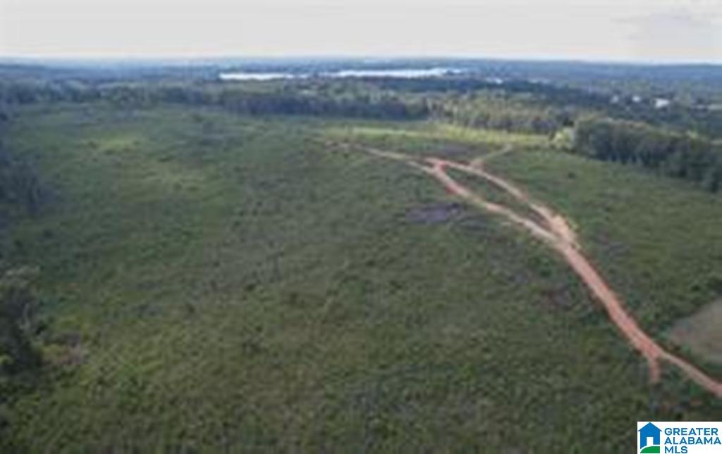 Eureka Road, Unit 1 Lincoln, AL 35096 - Photo 8 of 34