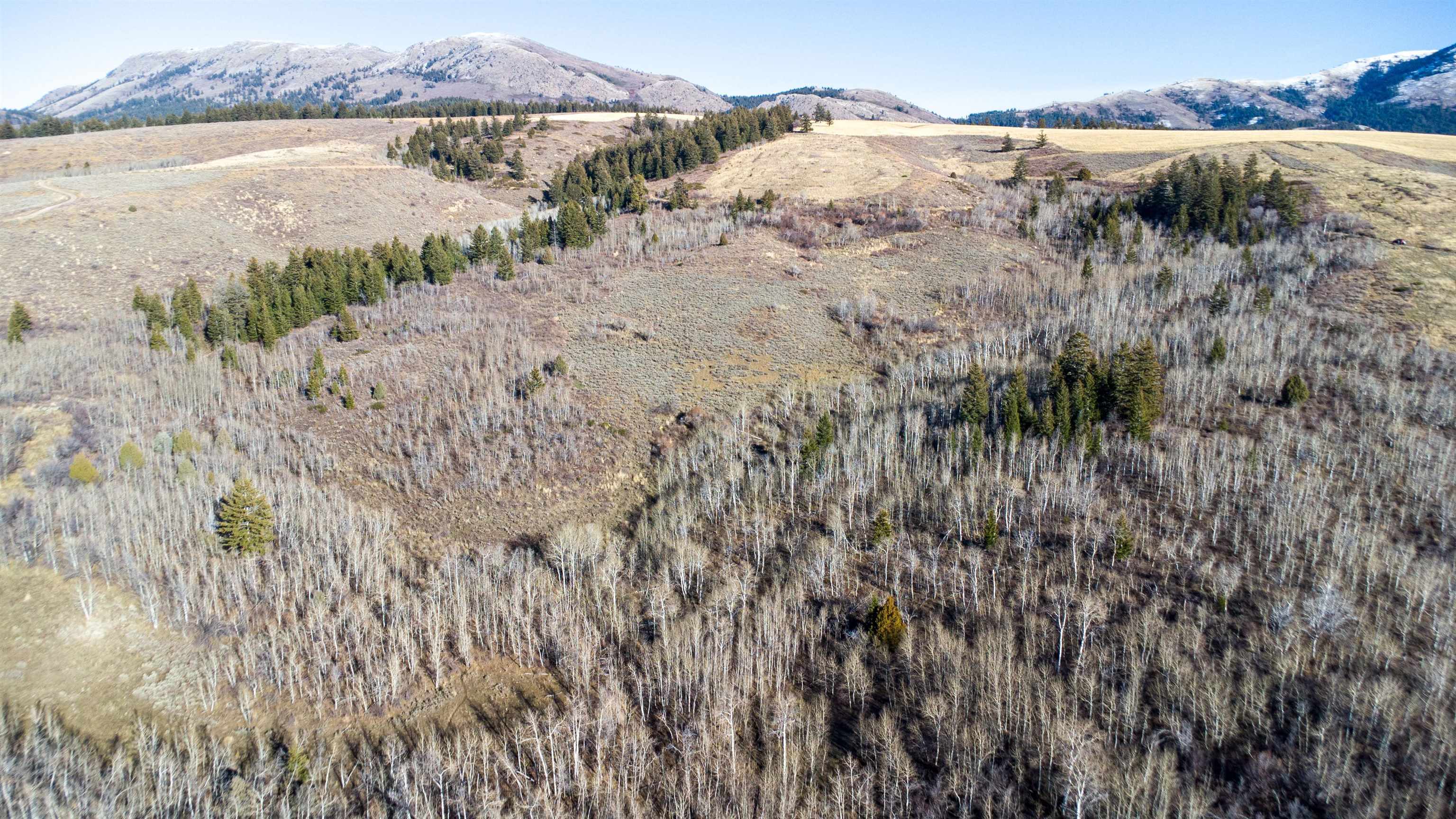 Mercer Creek Road Arimo, ID 83214 - Photo 4 of 23 Gallery Image 4