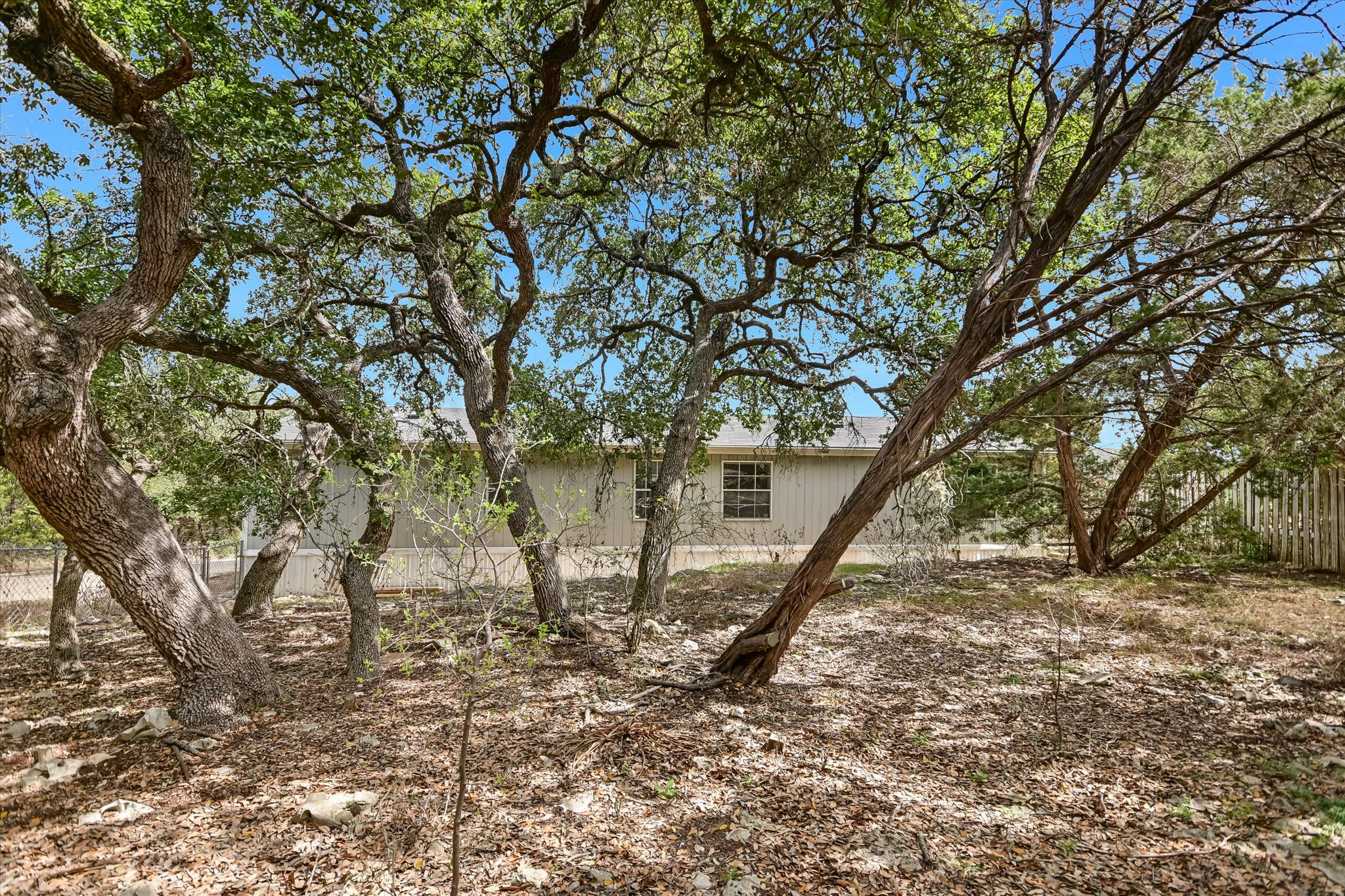 217 Rousey Street Canyon Lake, TX 78133 - Photo 24 of 25 a picture of trees