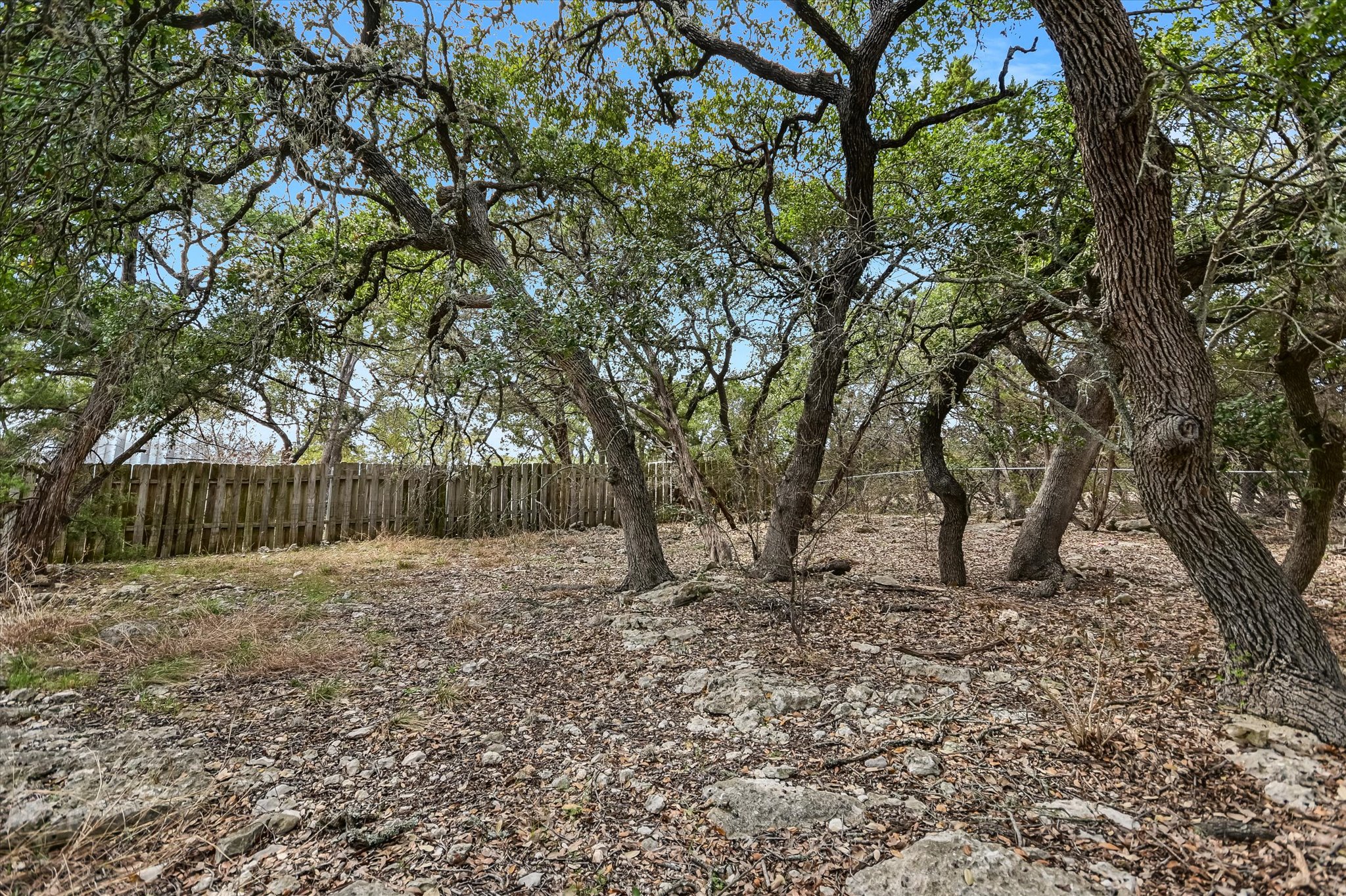 217 Rousey Street Canyon Lake, TX 78133 - Photo 25 of 25 a backyard of a house with lots of green space