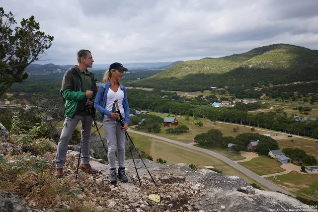 a view of a lake with a yard and large trees