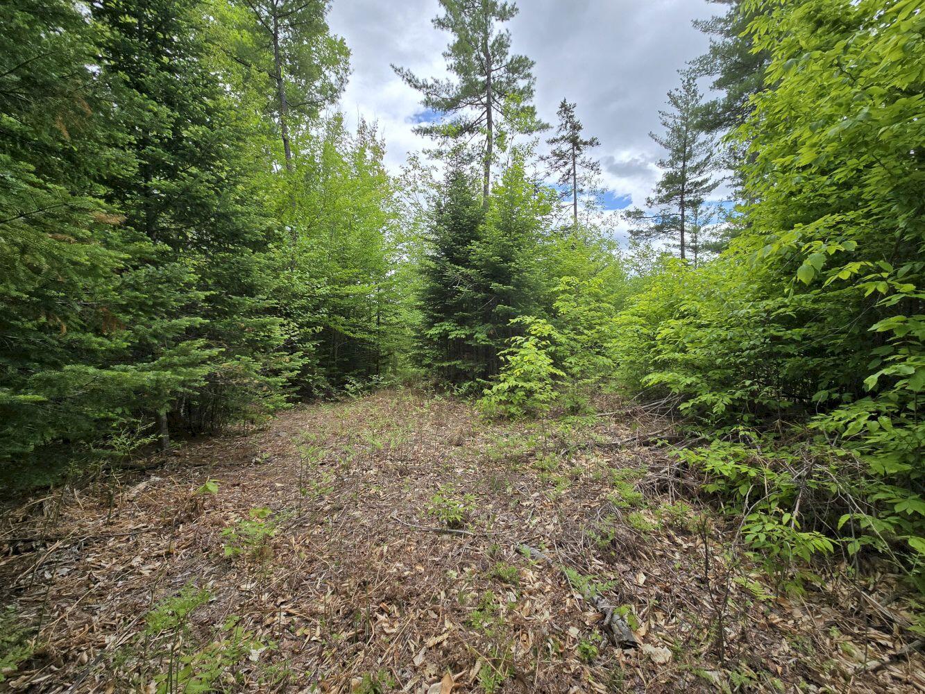 Lot 10 Staples Pond Road Temple, ME 04984 - Photo 16 of 56 20260528_130833_result