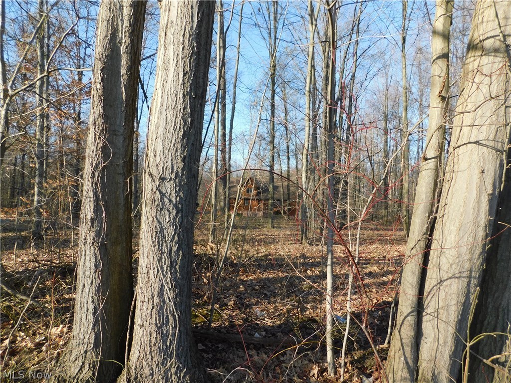 10631 Gilbert Road Newton Falls, OH 44444 - Photo 11 of 23 Gallery Image 11