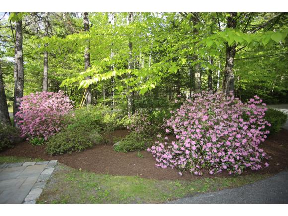 43 Murray Pond Road New London, NH 03257 - Photo 5 of 26 Gallery Image 5