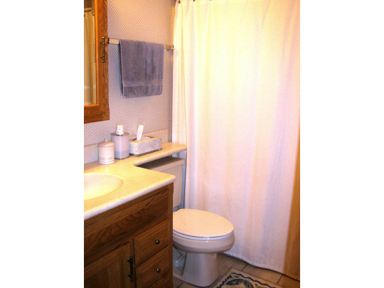 695 Lake Summerset Road Lake Summerset, IL 61019 - Photo 8 of 11 a bathroom with a sink and a toilet