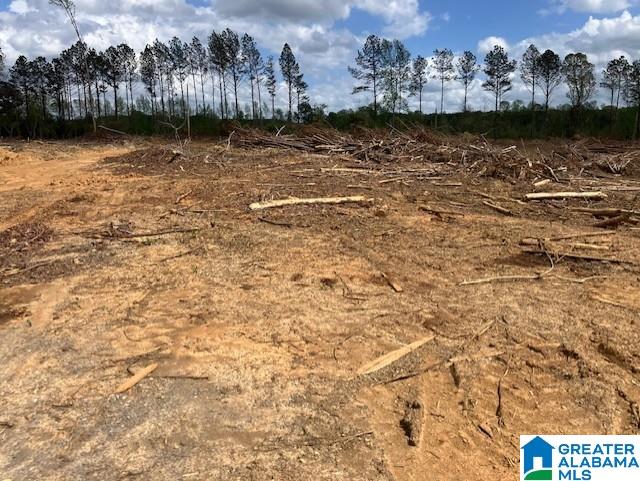 11482 Camp Oliver Road Adger, AL 35006 - Photo 42 of 48