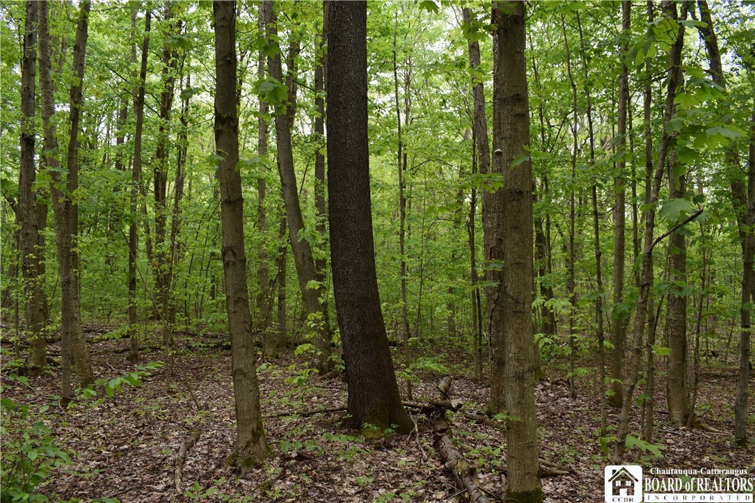 0 Harris Hollow Road Gerry, NY 14740 - Photo 14 of 23