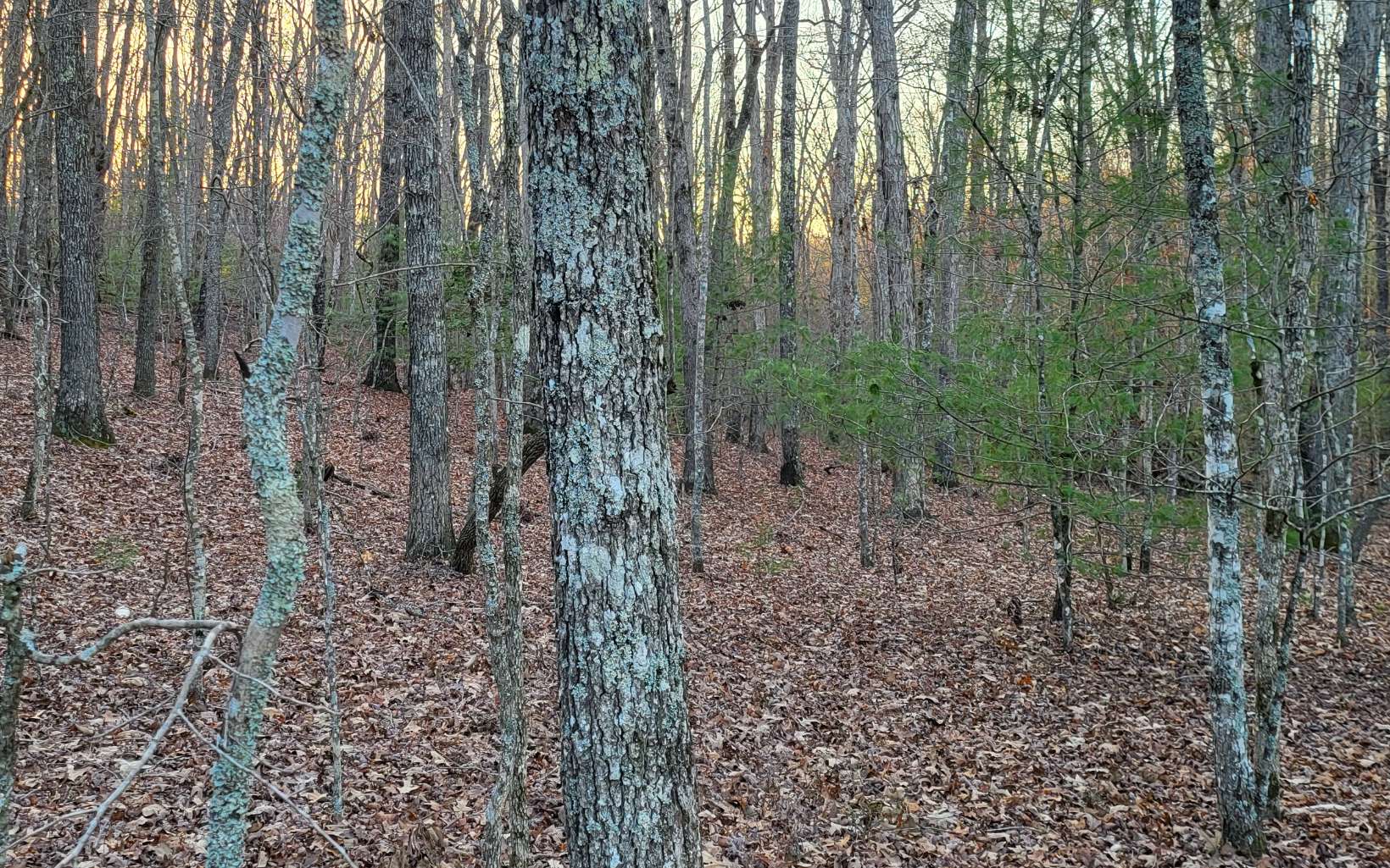45-acs New Hope Road Morganton, GA 30560 - Photo 15 of 72 Additional View